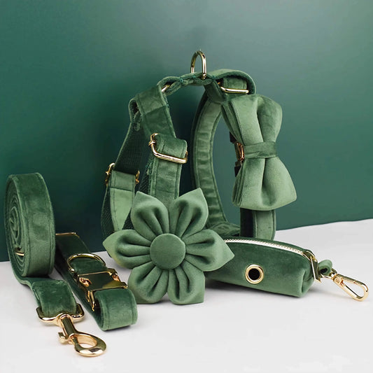Forest Green Velvet Set