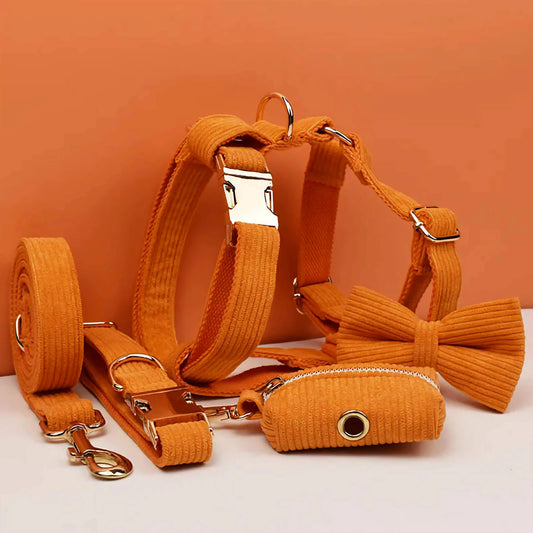 Orange Corduroy Set