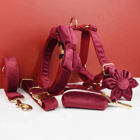 Red Wine Velvet Set