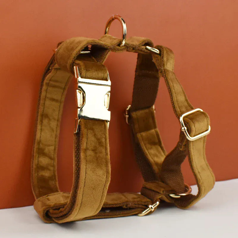 Light Coffee Velvet Set