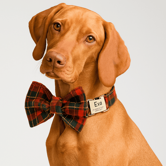Red Tartan Christmas Set