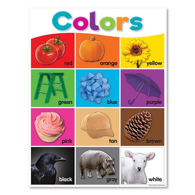DecorBites™ Alphabet Educational Poster for Kids - Math & English