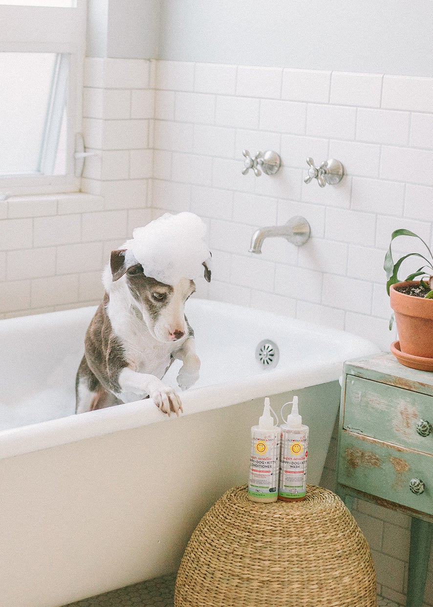 (No Fragrance) Super Sensitive™ Puppy + Dog + Kitty Conditioner