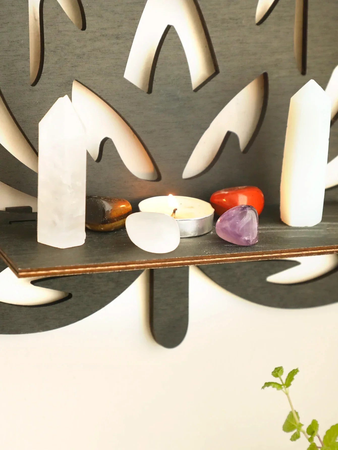 DecorBites™ Lotus Floating Wall Shelf - Multi-Style Home Decor