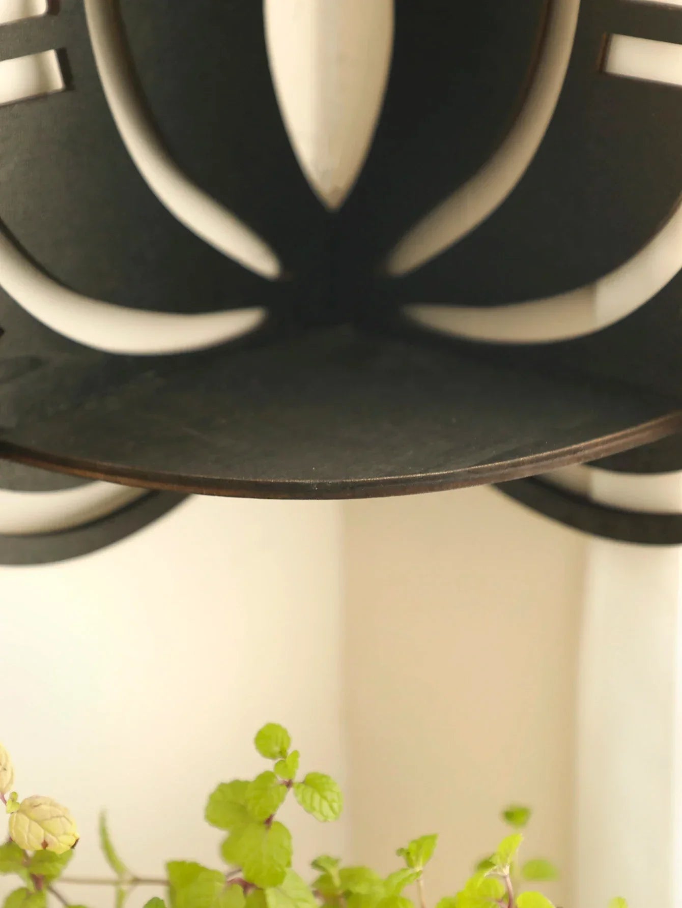 DecorBites™ Lotus Floating Wall Shelf - Multi-Style Home Decor