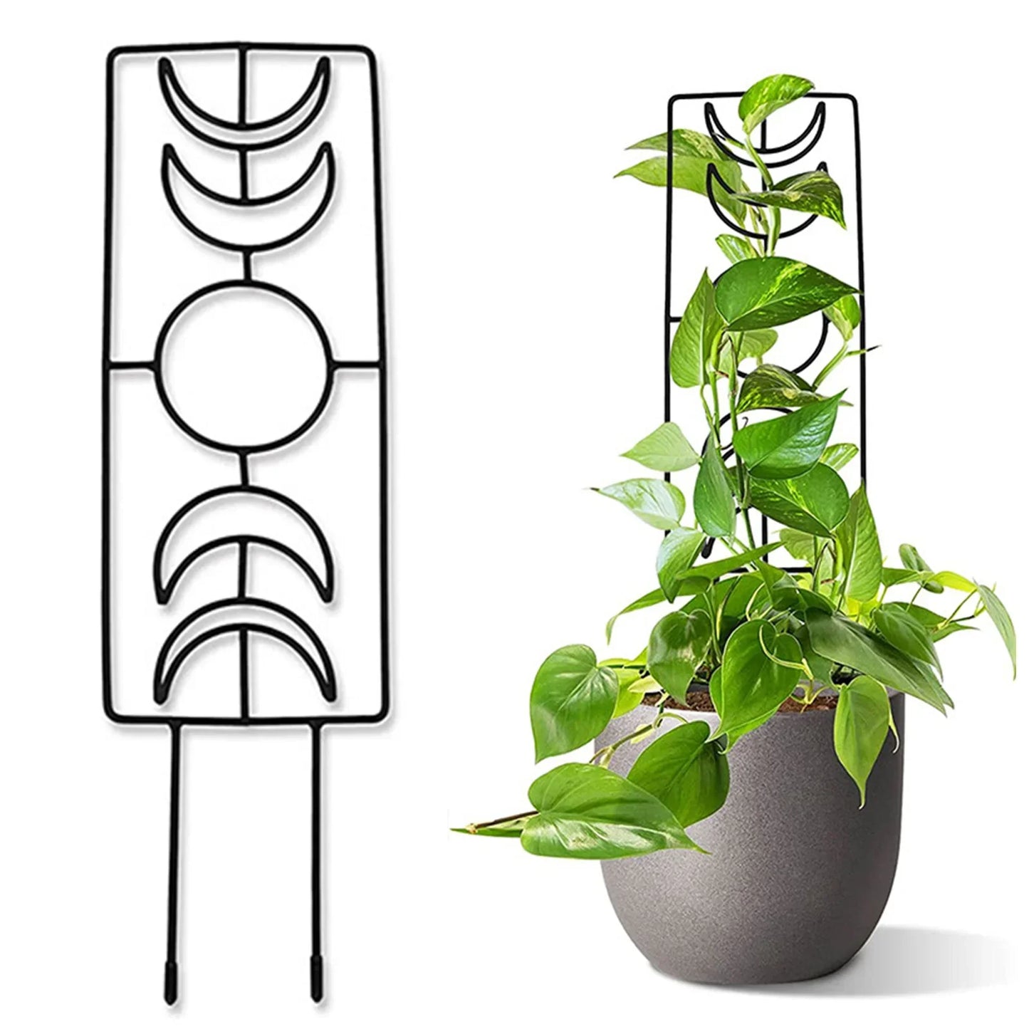 DecorBites™ Metal Garden Plant Stand for Indoor and Outdoor Growth