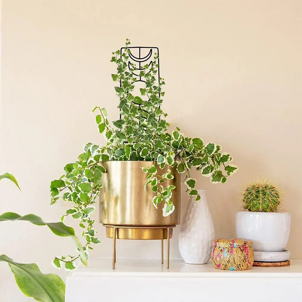 DecorBites™ Metal Garden Plant Stand for Indoor and Outdoor Growth