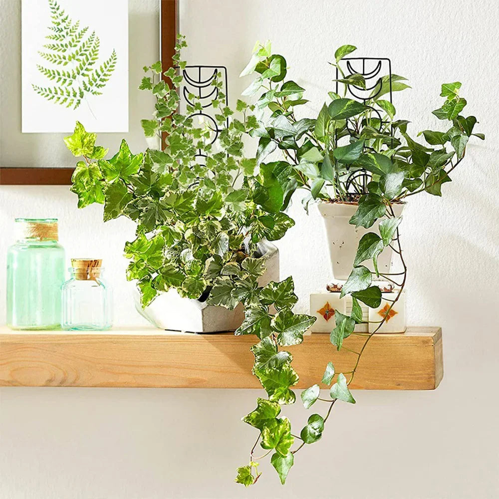 DecorBites™ Metal Garden Plant Stand for Indoor and Outdoor Growth