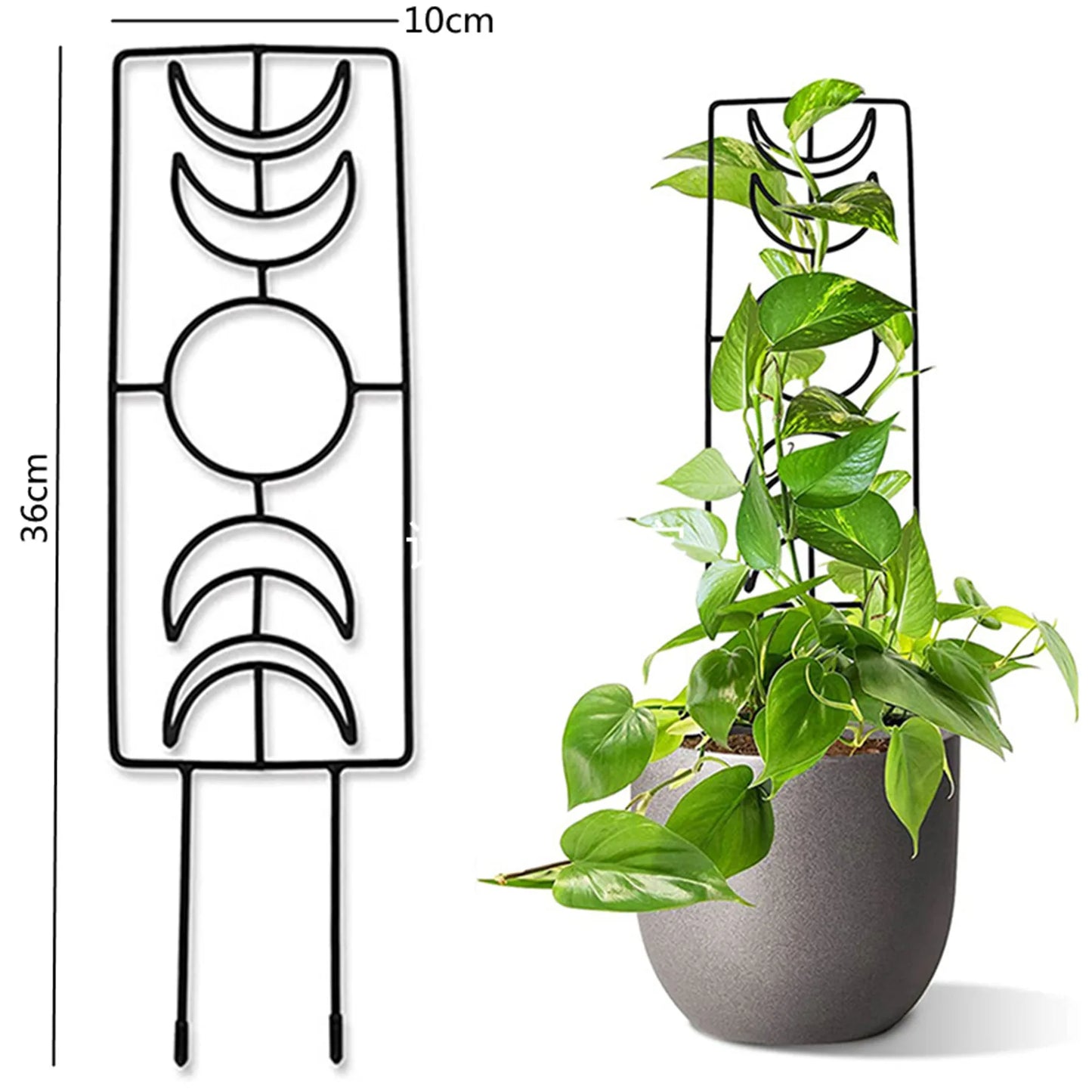DecorBites™ Metal Garden Plant Stand for Indoor and Outdoor Growth
