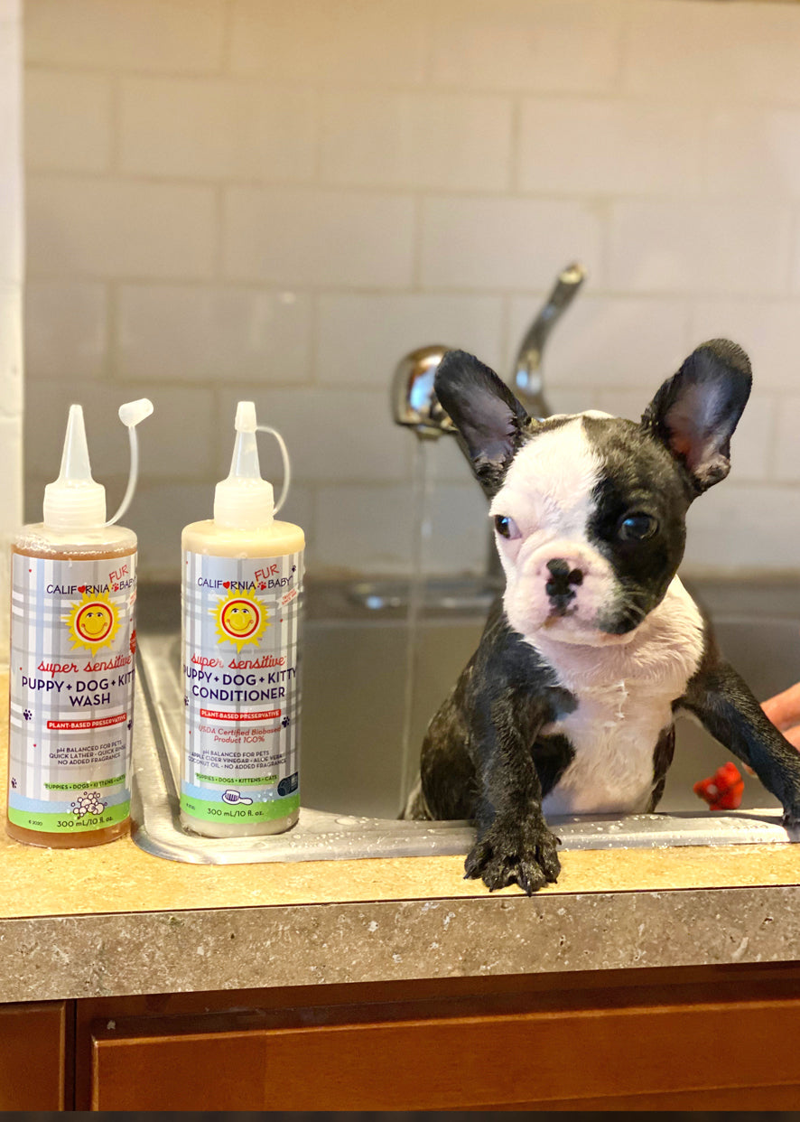 (No Fragrance) Super Sensitive™ Puppy + Dog + Kitty Conditioner
