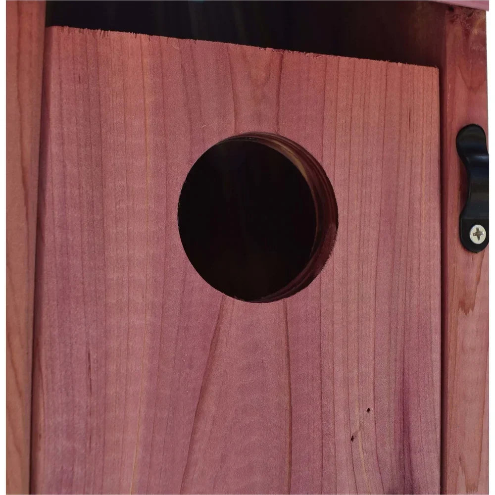 DecorBites™ Red Cedar Bluebird House with Mounting Pole