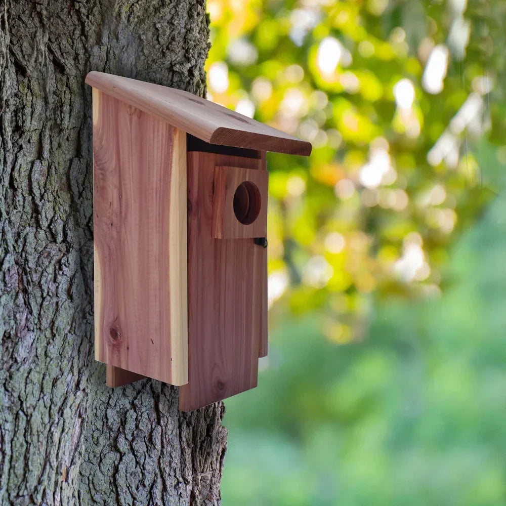 DecorBites™ Red Cedar Bluebird House with Mounting Pole